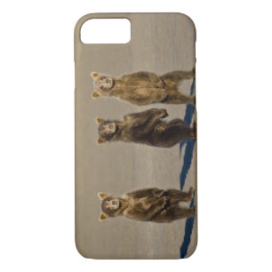 USA. Alaska. Coastal Brown Bear cubs iPhone 8/7 Case