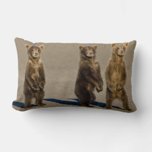 USA. Alaska. Coastal Brown Bear cubs Lumbar Cushion