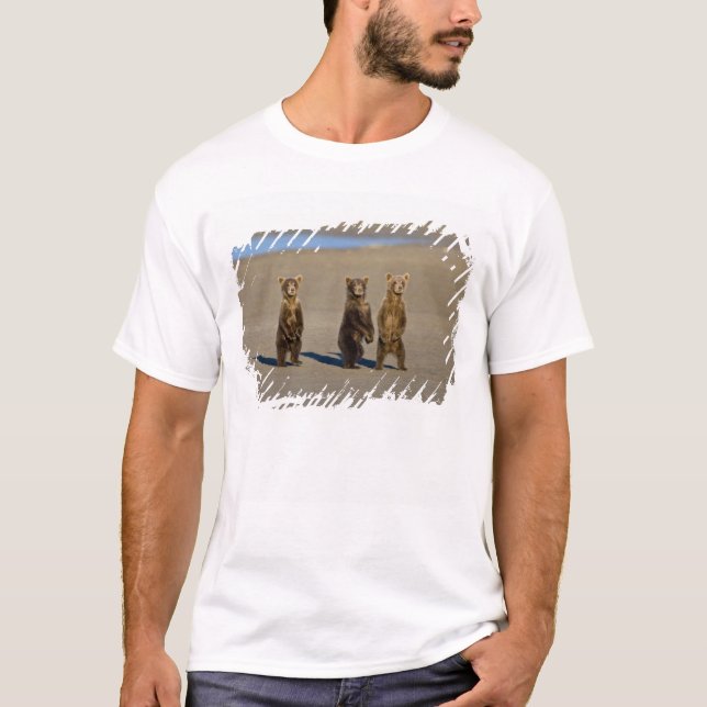 USA. Alaska. Coastal Brown Bear cubs T-Shirt (Front)