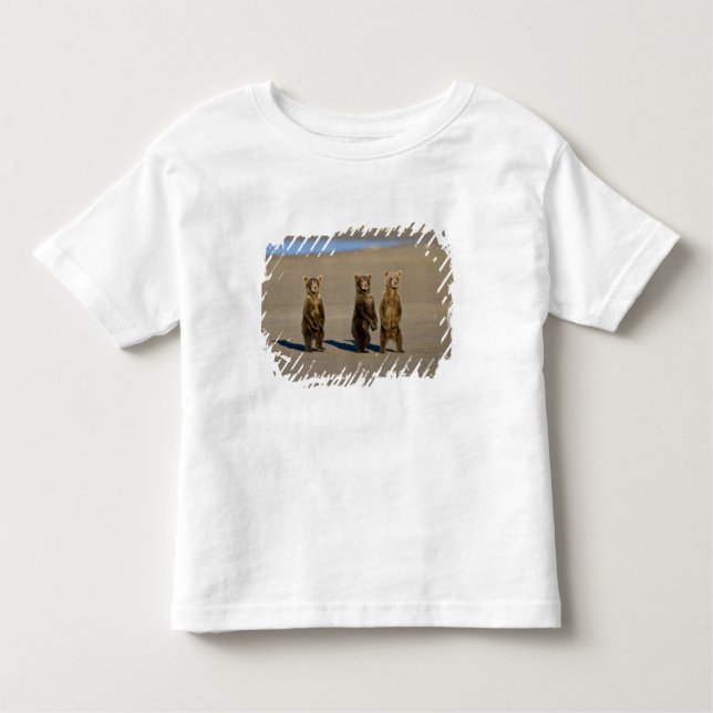 USA. Alaska. Coastal Brown Bear cubs Toddler T-Shirt (Front)