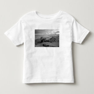 USA, Alaska, Denali National Park, Aerial view 2 Toddler T-Shirt