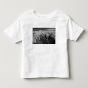 USA, Alaska, Denali National Park, Aerial view 3 Toddler T-Shirt