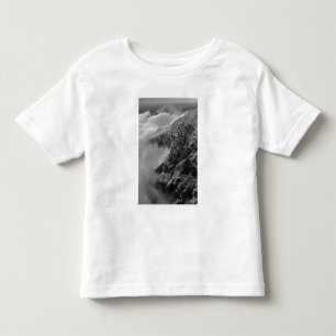USA, Alaska, Denali National Park, Aerial view 4 Toddler T-Shirt
