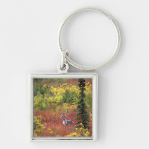 USA, Alaska, Denali National Park. Caribou Key Ring