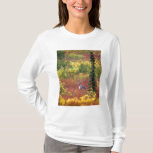 USA, Alaska, Denali National Park. Caribou T-Shirt