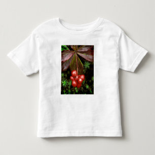 USA, Alaska, Denali National Park. Detail of Toddler T-Shirt