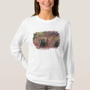 USA, Alaska, Denali National Park. Grizzly bear T-Shirt