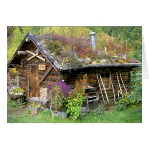 USA, Alaska, Denali National Park, Kantishna.