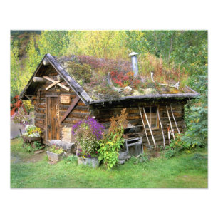 USA, Alaska, Denali National Park, Kantishna. Photo Print