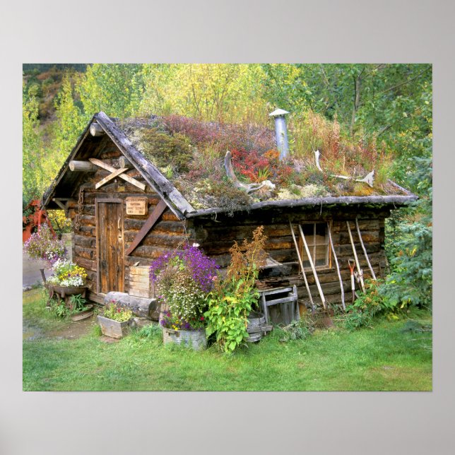 USA, Alaska, Denali National Park, Kantishna. Poster (Front)