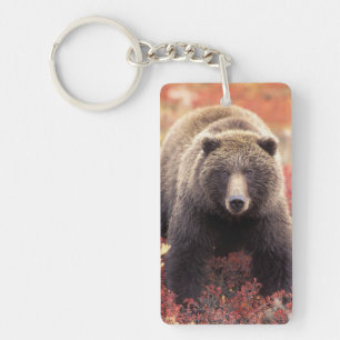 USA, Alaska, Denali NP, female Grizzly Bear Key Ring