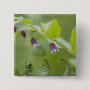USA, Alaska, Glacier Bay National Park. 15 Cm Square Badge