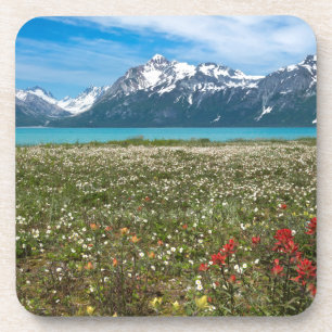 USA, Alaska, Glacier Bay National Park 2 Coaster