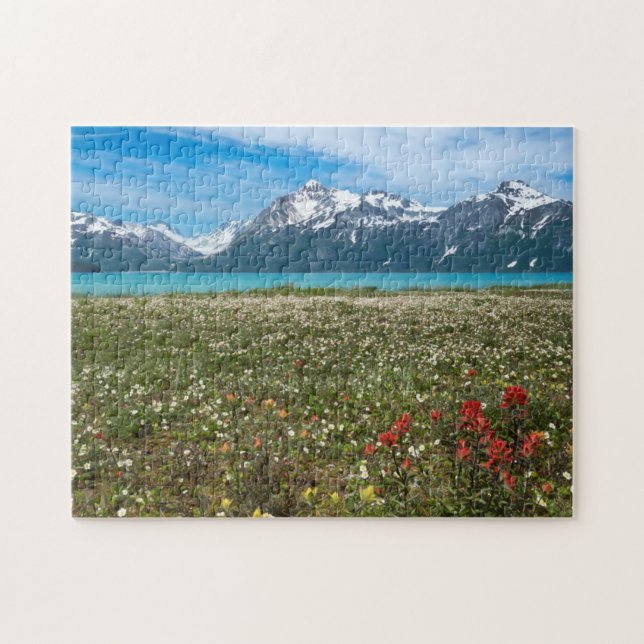 USA, Alaska, Glacier Bay National Park 2 Jigsaw Puzzle (Horizontal)