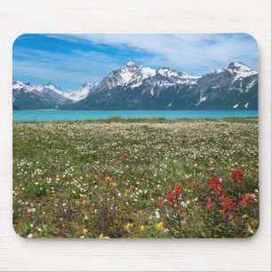 USA, Alaska, Glacier Bay National Park 2 Mouse Pad