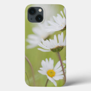 USA, Alaska, Glacier Bay National Park iPhone 13 Case
