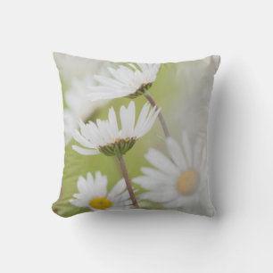 USA, Alaska, Glacier Bay National Park Cushion