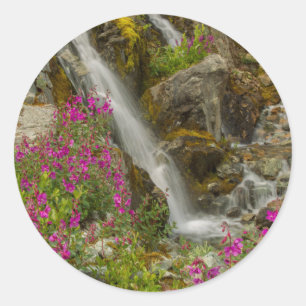 USA, Alaska, Glacier Bay National Park. Fireweed Classic Round Sticker