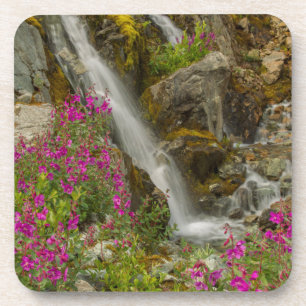 USA, Alaska, Glacier Bay National Park. Fireweed Coaster