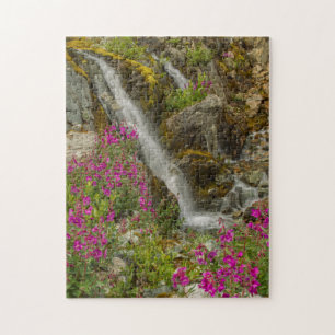 USA, Alaska, Glacier Bay National Park. Fireweed Jigsaw Puzzle