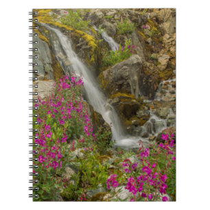USA, Alaska, Glacier Bay National Park. Fireweed Notebook
