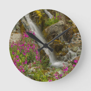 USA, Alaska, Glacier Bay National Park. Fireweed Round Clock