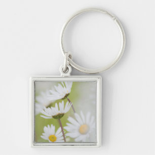USA, Alaska, Glacier Bay National Park Key Ring