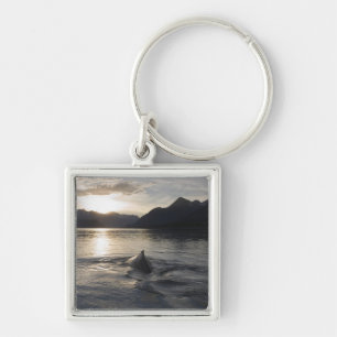 USA, Alaska, Glacier Bay National Park, Key Ring