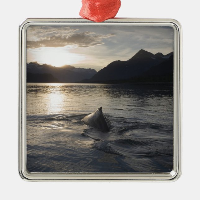 USA, Alaska, Glacier Bay National Park, Metal Ornament (Front)