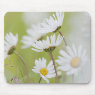 USA, Alaska, Glacier Bay National Park Mouse Pad