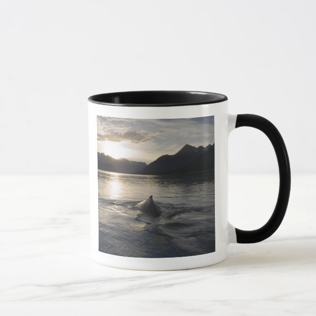 USA, Alaska, Glacier Bay National Park, Mug (Right)