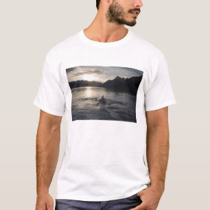 USA, Alaska, Glacier Bay National Park, T-Shirt