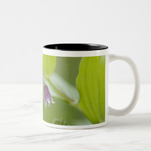 USA, Alaska, Glacier Bay National Park. Two-Tone Coffee Mug