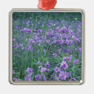 USA, Alaska, Hillberg Lake Wilderness Wild Metal Tree Decoration