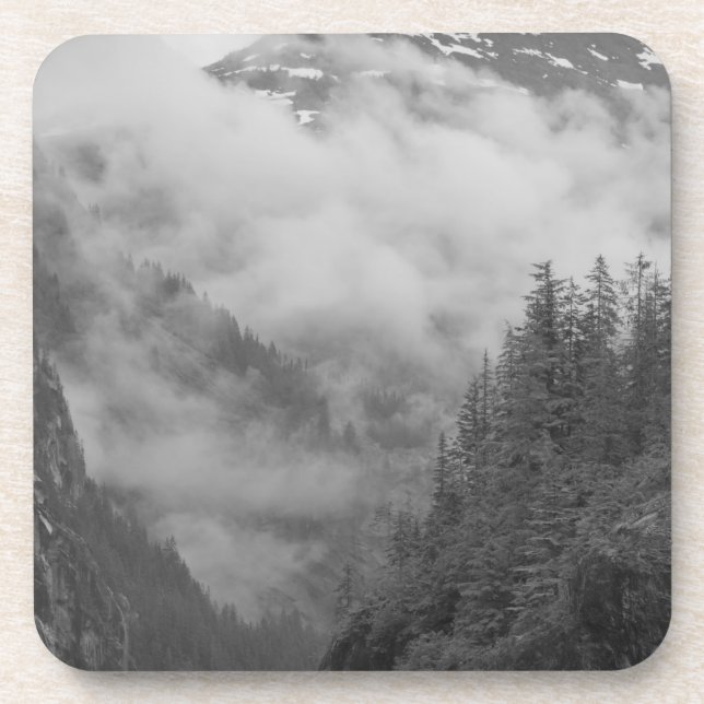 USA, Alaska, Juneau, Rainforest covers fjords in Coaster (Front)