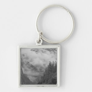 USA, Alaska, Juneau, Rainforest covers fjords in Key Ring