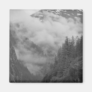 USA, Alaska, Juneau, Rainforest covers fjords in Magnet