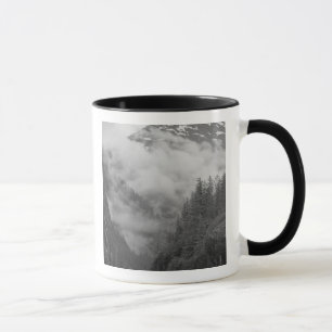 USA, Alaska, Juneau, Rainforest covers fjords in Mug