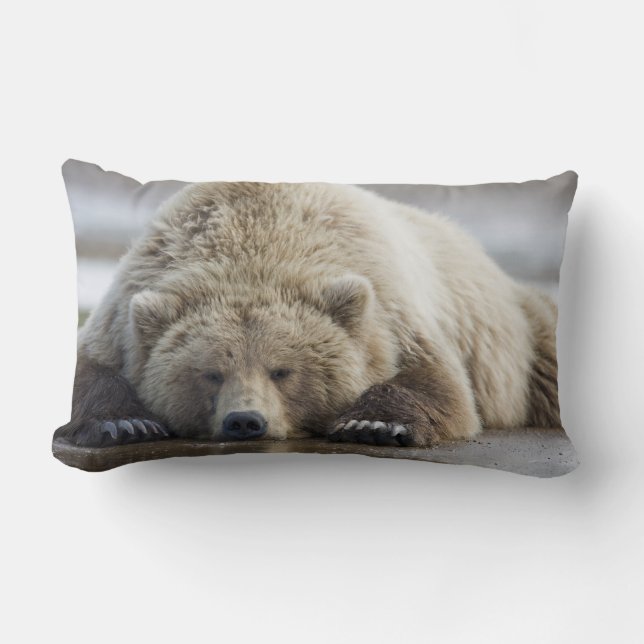 USA, Alaska, Katmai National Park, Brown Bear Lumbar Cushion (Front)