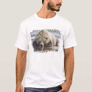 USA, Alaska, Katmai National Park, Brown Bear T-Shirt
