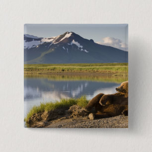 USA, Alaska, Katmai National Park, Brown Bears 15 Cm Square Badge