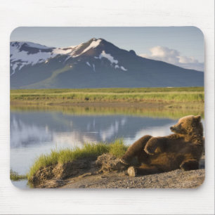 USA, Alaska, Katmai National Park, Brown Bears Mouse Pad