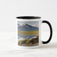 USA, Alaska, Katmai National Park, Brown Bears