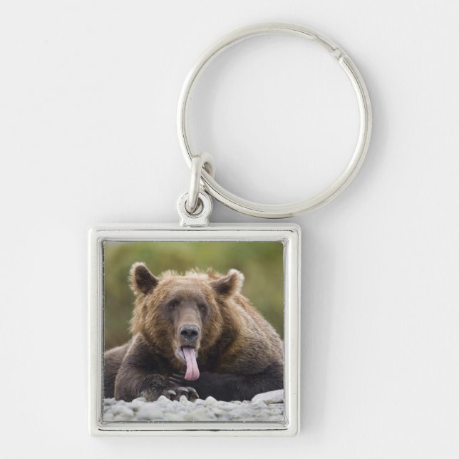 USA, Alaska, Katmai National Park, Kukak Bay, Key Ring (Front)