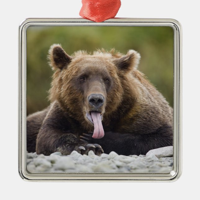 USA, Alaska, Katmai National Park, Kukak Bay, Metal Tree Decoration (Front)