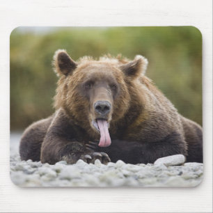 USA, Alaska, Katmai National Park, Kukak Bay, Mouse Pad
