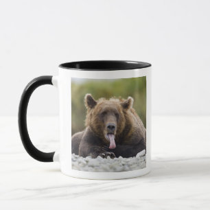 USA, Alaska, Katmai National Park, Kukak Bay, Mug