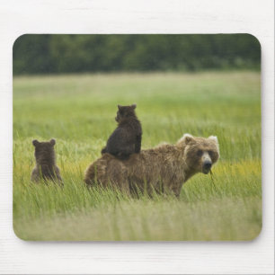 USA, Alaska, Lake Clark National Park Mouse Pad