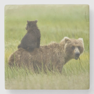 USA, Alaska, Lake Clark National Park Stone Coaster