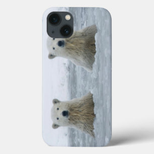 USA, Alaska, North Slope, 1002 Area 2 iPhone 13 Case